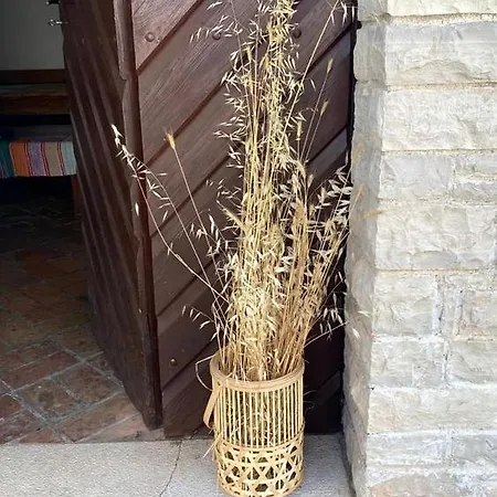 Bubi Apartment
