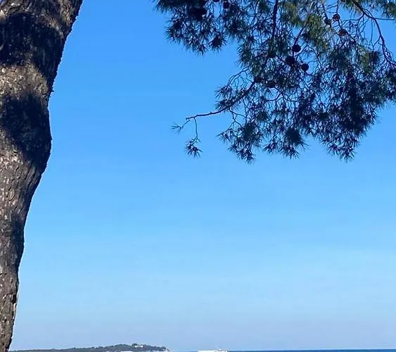 Διαμέρισμα Bubi Πούλα