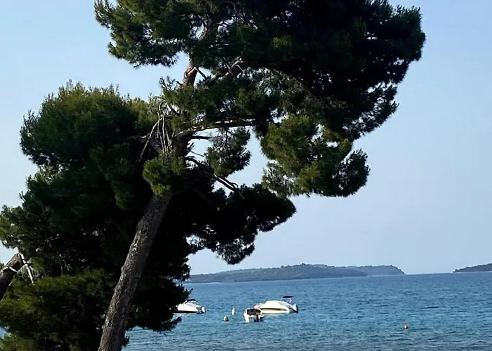 Bubi Διαμέρισμα