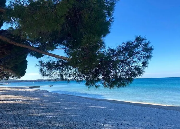 Διαμέρισμα Bubi