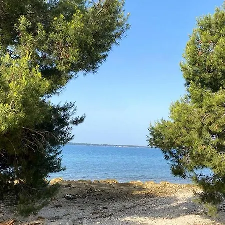 Bubi * Πούλα