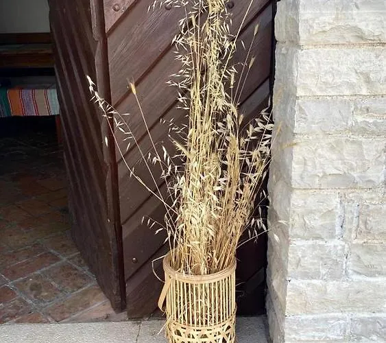 Bubi Appartement